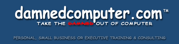 damnedcomputer.com take the damned out of computer personal small business or executive training and consulting